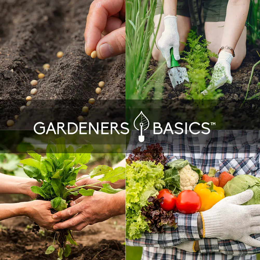 Heirloom Vegetable Seed Collection for Home Gardens product image 5
