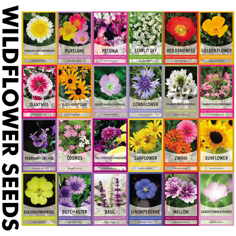 Vegetable Seed Starter Pack for Home Gardening product image 2