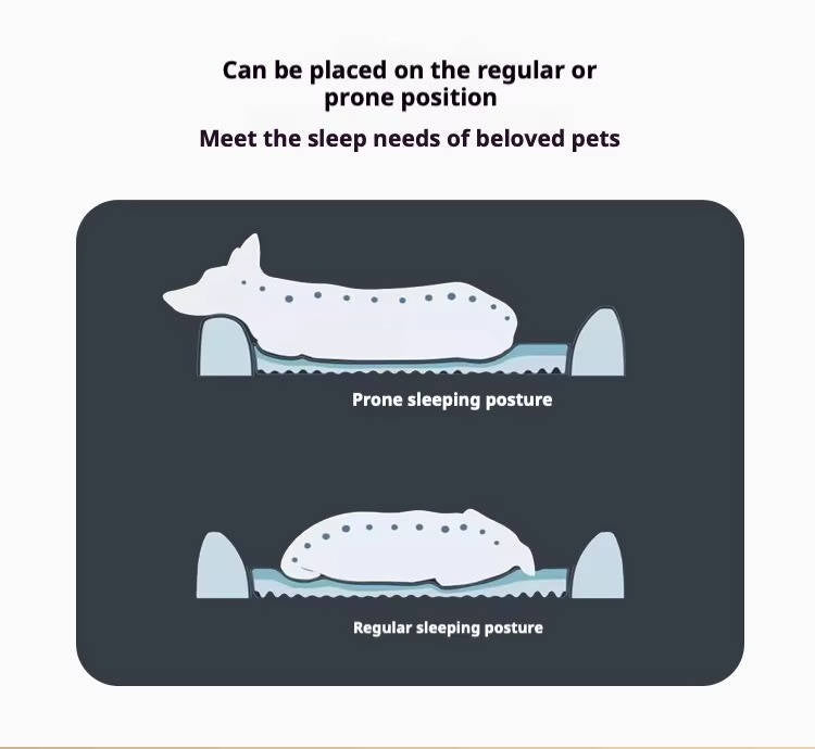 Orthopedic Anti-Slip Car Dog Bed