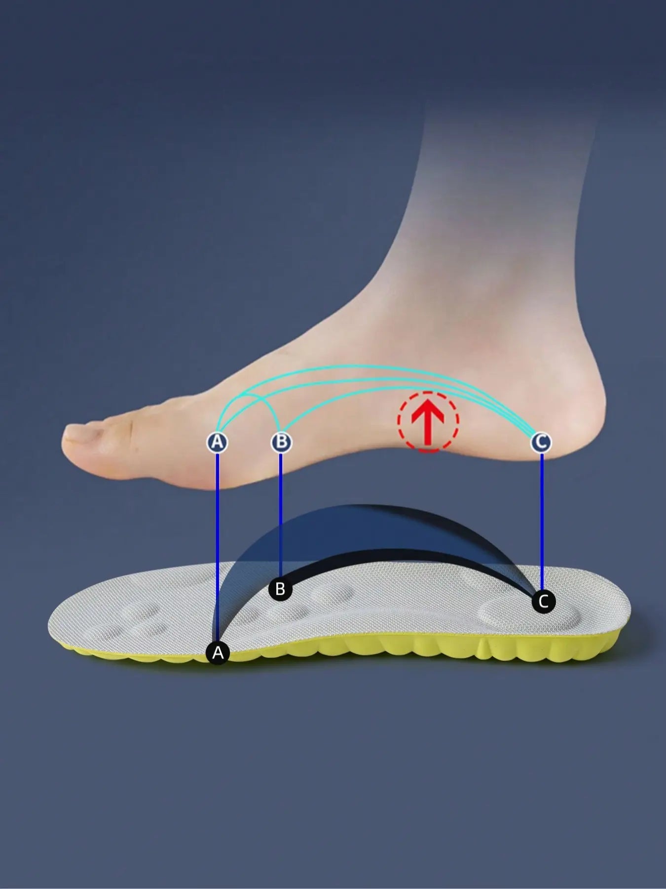 Premium Breathable Shoe Insoles for Everyday Comfort product image 3