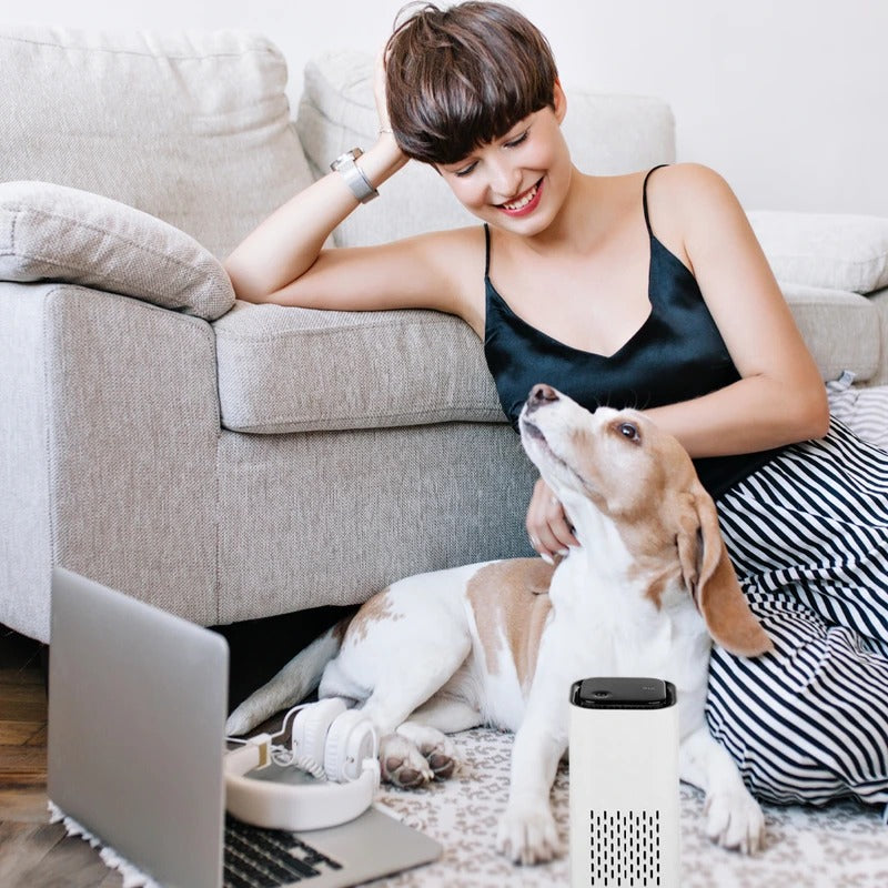 Compact Pet Air Purifier