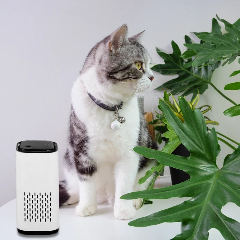 Compact Pet Air Purifier