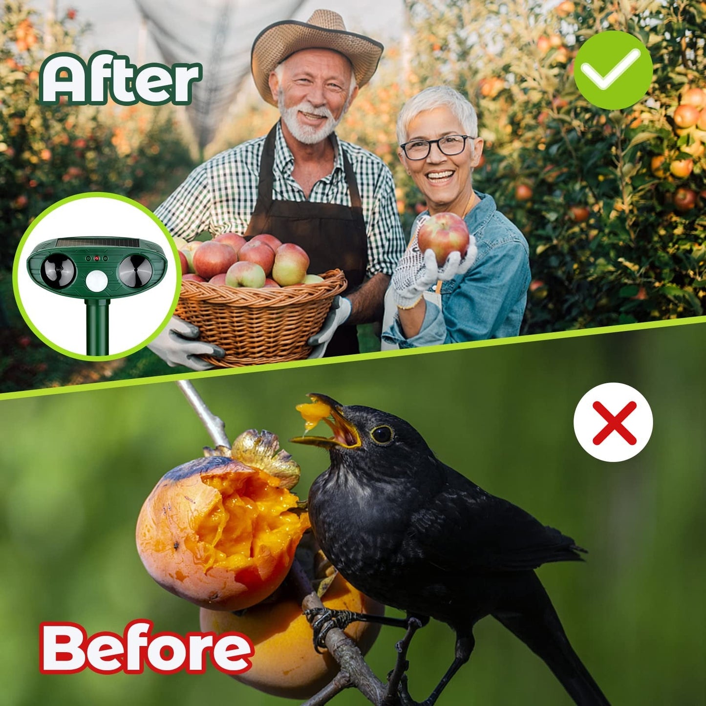 Solar-Powered Ultrasonic Woodpecker Repellent
